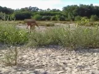 Wanking vreemdeling cums bij trio neuken op de strand.